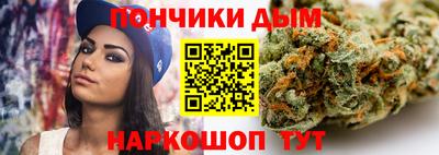 шишки Славгород